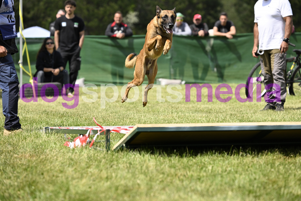 Preview _JRI_18647.jpg